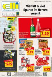 Elli Markt Prospekt woche 31 Seite 1