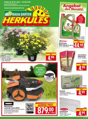 Herkules Baumarkt Prospekt (gültig bis 2-08)