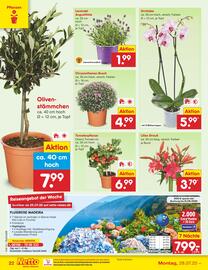 Netto City Prospekt woche 31 Seite 40