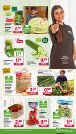 Wasgau Prospekt woche 31 Seite 11