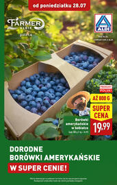 ALDI gazetka tydzień 31 Strona 1
