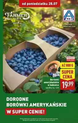 ALDI gazetka (ważność do 2-08)