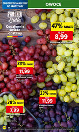 Lidl gazetka Strona 28