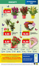 Lidl gazetka Strona 49