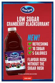 IGA catalogue week 31 Page 13