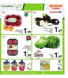 Volantino Spazio Conad settimana 31 Pagina 9