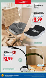 Catalogue Lidl semaine 31 page 42
