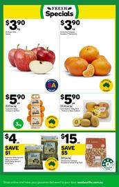Woolworths catalogue week 31 Page 13