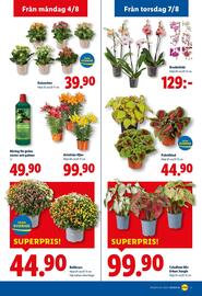 Lidl reklamblad vecka 32 Sida 20