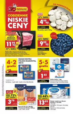Biedronka gazetka