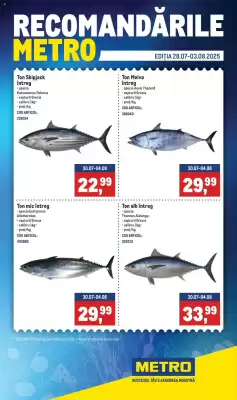 Catalog Metro (valid până la 3-08)