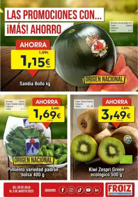 Folleto FROIZ (válido hasta el 3-08)