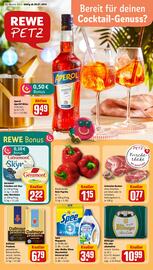 REWE PETZ Prospekt woche 31 Seite 1