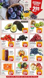 REWE PETZ Prospekt woche 31 Seite 10