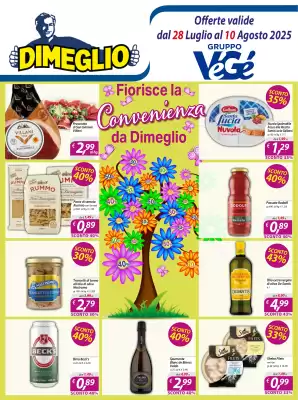 Volantino DiMeglio (valido fino al 10-08)