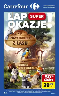 Carrefour gazetka (ważność do 13-08)