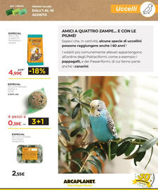 Volantino Arcaplanet Pagina 37