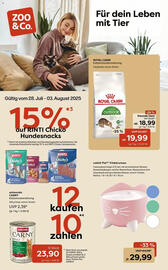 Zoo & Co Prospekt woche 31 Seite 1
