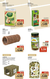 Zoo & Co Prospekt woche 31 Seite 10