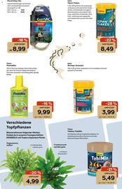 Zoo & Co Prospekt woche 31 Seite 11