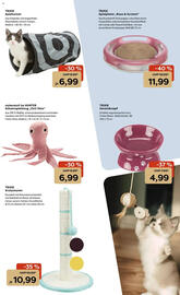 Zoo & Co Prospekt woche 31 Seite 5