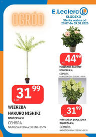 E.Leclerc gazetka | Klodzko Strona 15