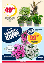 Coop Extra Kundeavis uke 31 Side 29