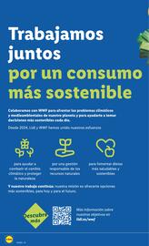 Folleto Lidl semana 32 Página 42