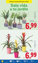 Folleto Lidl semana 32 Página 44