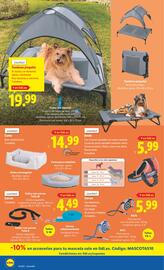 Folleto Lidl semana 32 Página 48