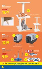 Folleto Lidl semana 32 Página 50