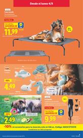 Folleto Lidl semana 32 Página 51