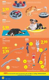 Folleto Lidl | de Bazar Página 6