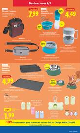 Folleto Lidl | de Bazar Página 7