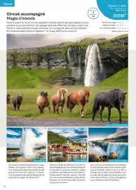 Catalogue TUI page 260