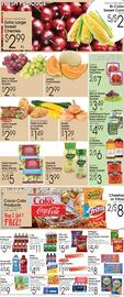 Family Fare Weekly Ad week 31 Page 2