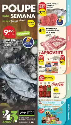 Folheto Pingo Doce