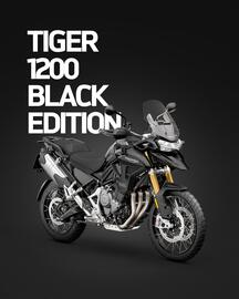 Catálogo Triumph Página 2