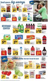 Food Lion Weekly Ad week 31 Page 9