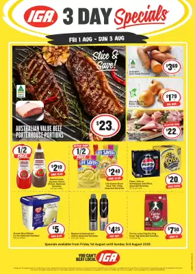 IGA catalogue (valid until 3-08)