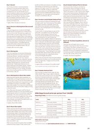 Flight Centre catalogue Page 51
