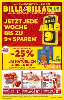 Billa Flugblatt (gültig bis 6-08)