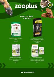 Catalogue Zooplus page 3