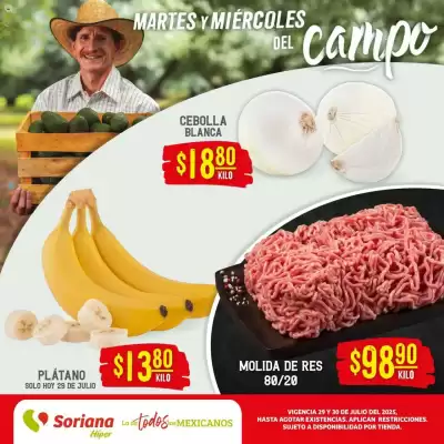 Catálogo Soriana Híper (válido hasta 30-07)