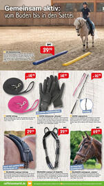 Raiffeisen Markt Prospekt Seite 5