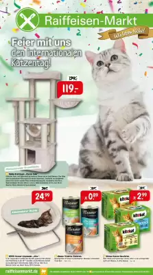 Raiffeisen Markt Prospekt (gültig bis 16-08)