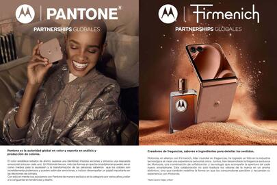 Catálogo Motorola Página 6