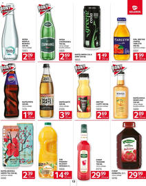 Selgros gazetka Strona 13