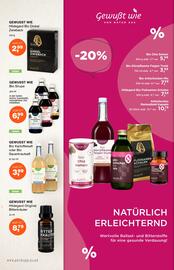 Prokopp Flugblatt Seite 4