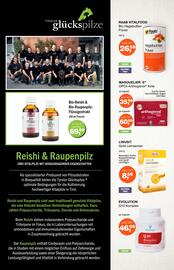 Prokopp Flugblatt Seite 6